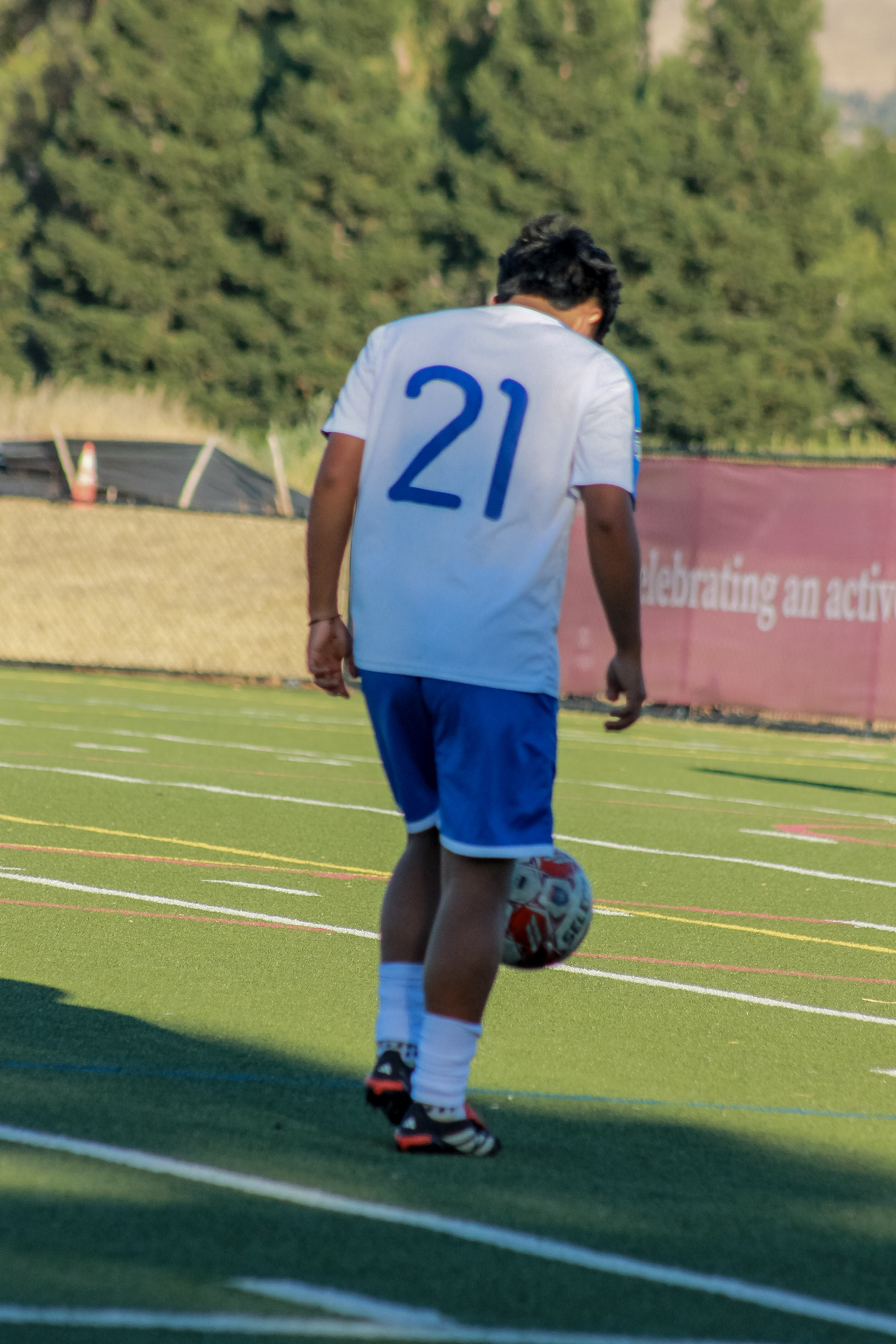 15 IMG 7065