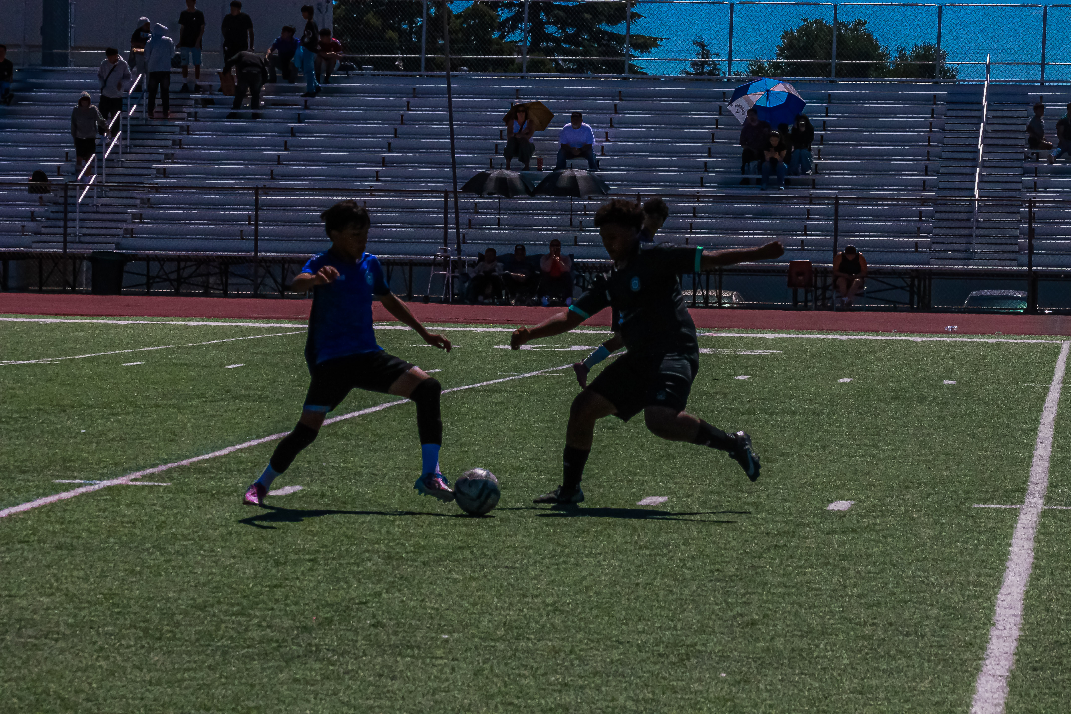 22 IMG 9916