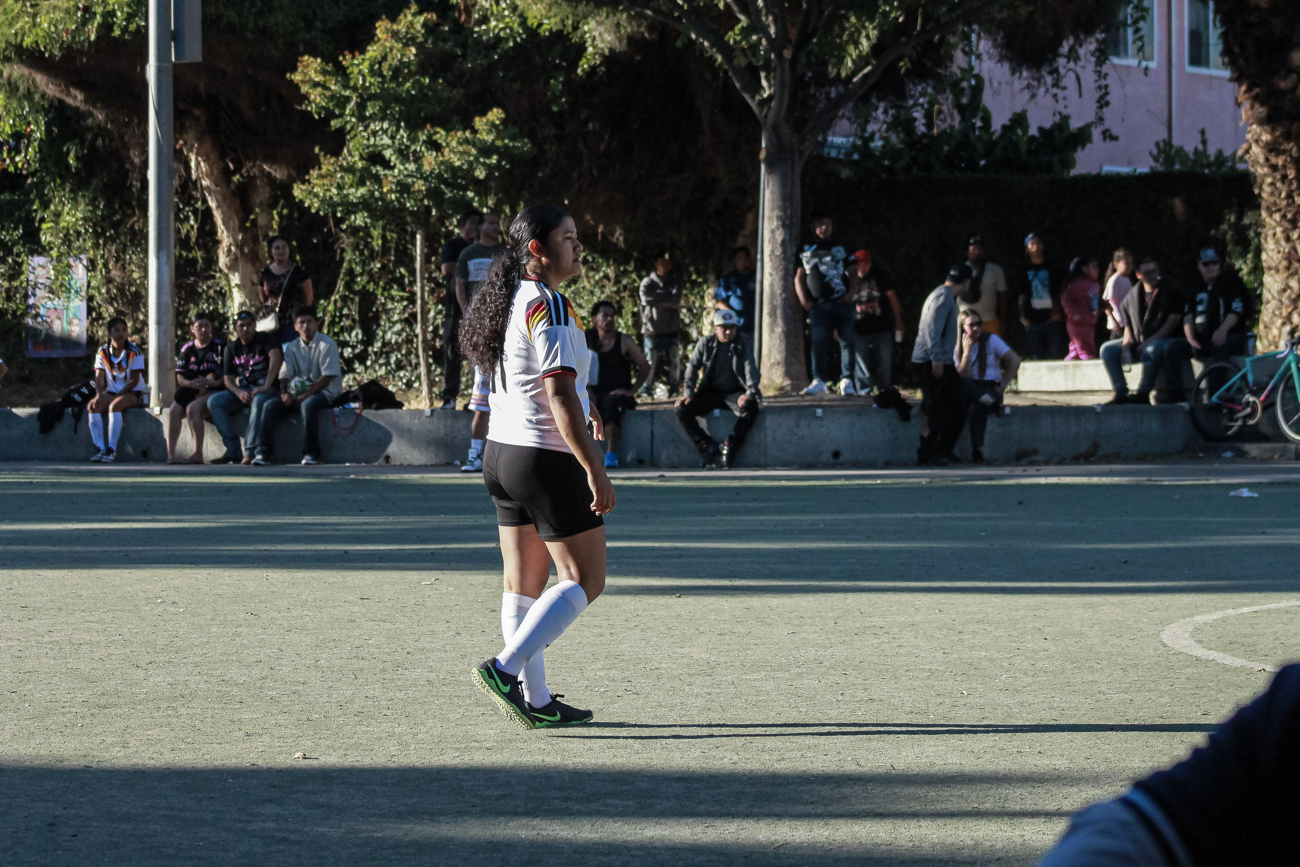 2 IMG 8559