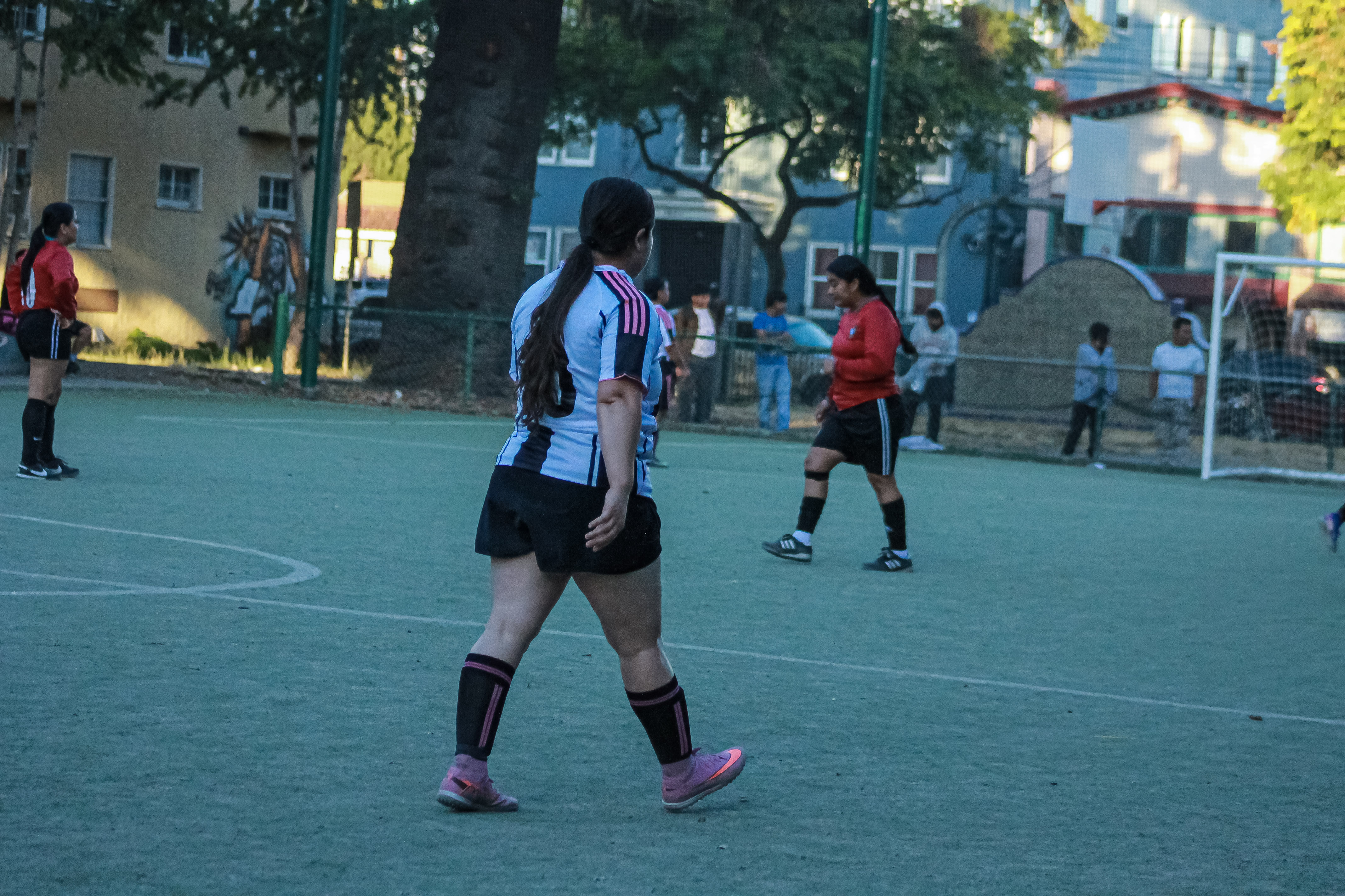43 IMG 8717