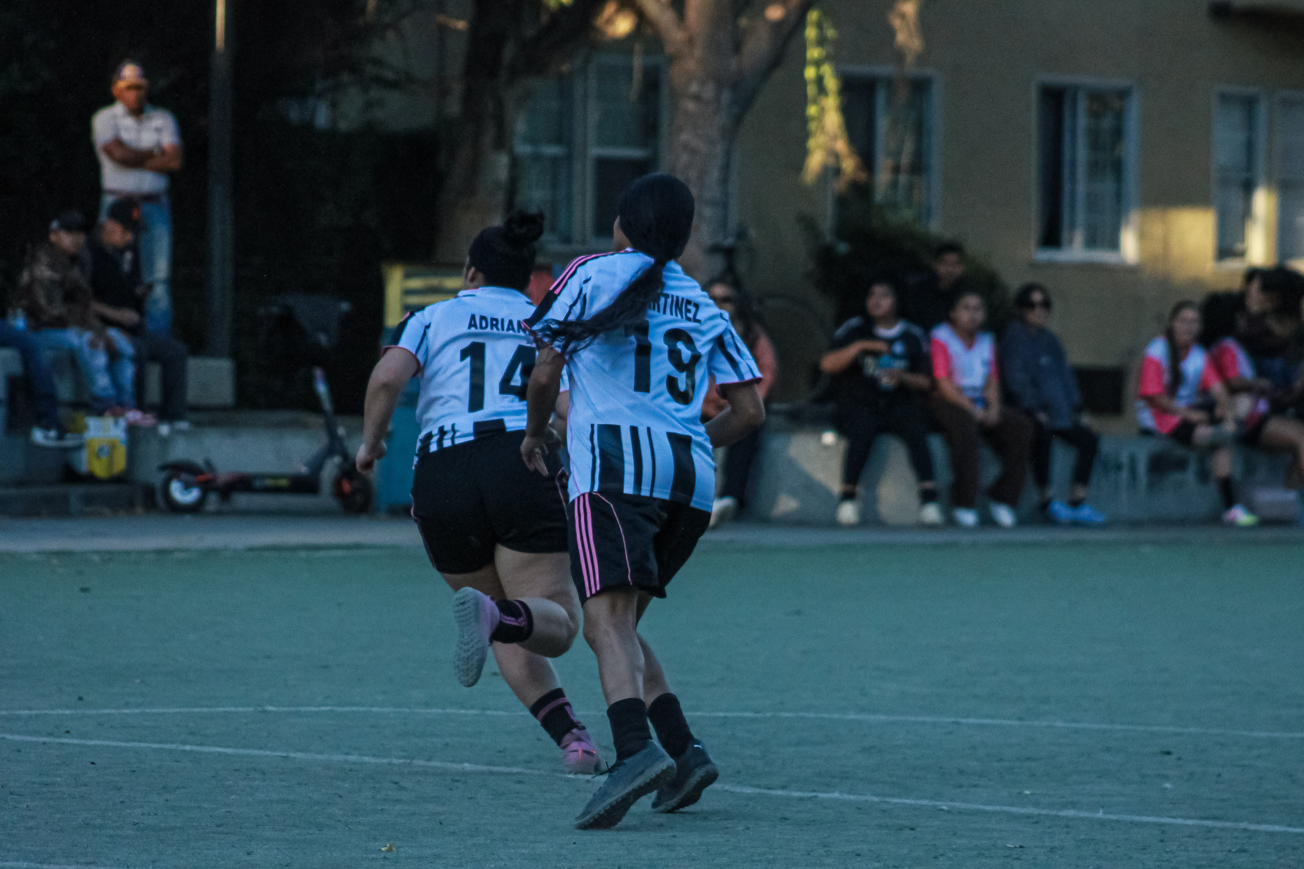 48 IMG 8724