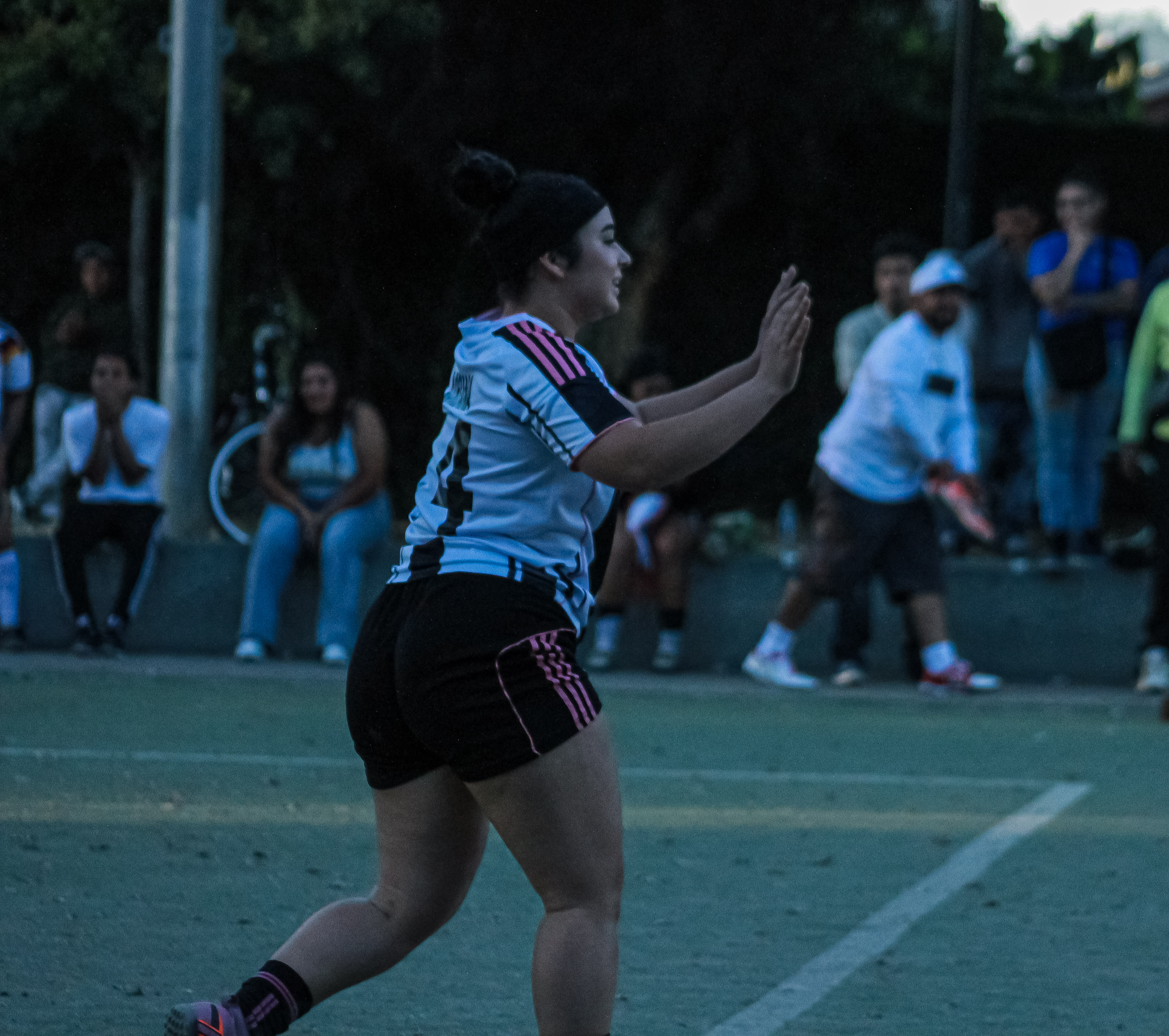 50 IMG 8735