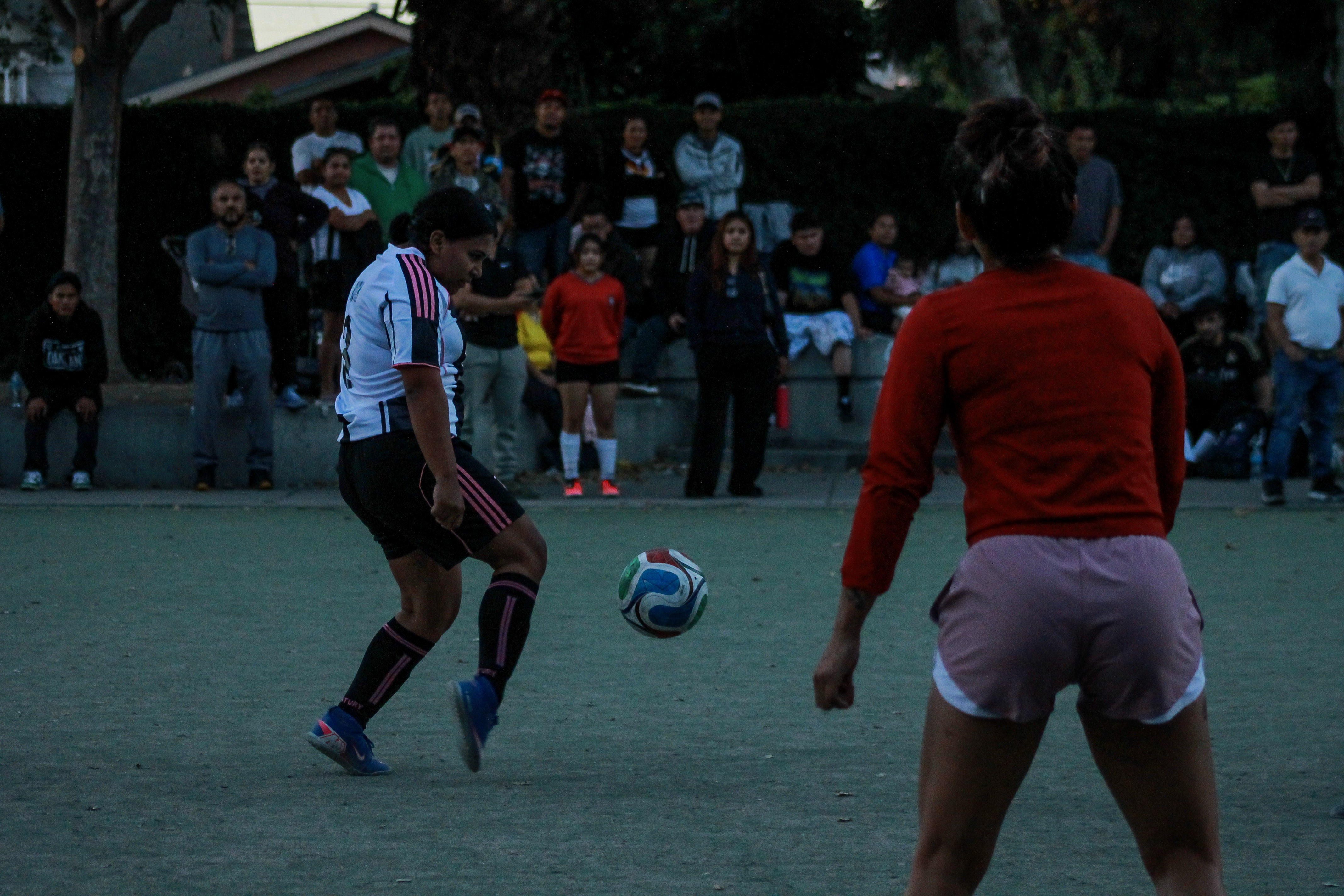 66 IMG 8858