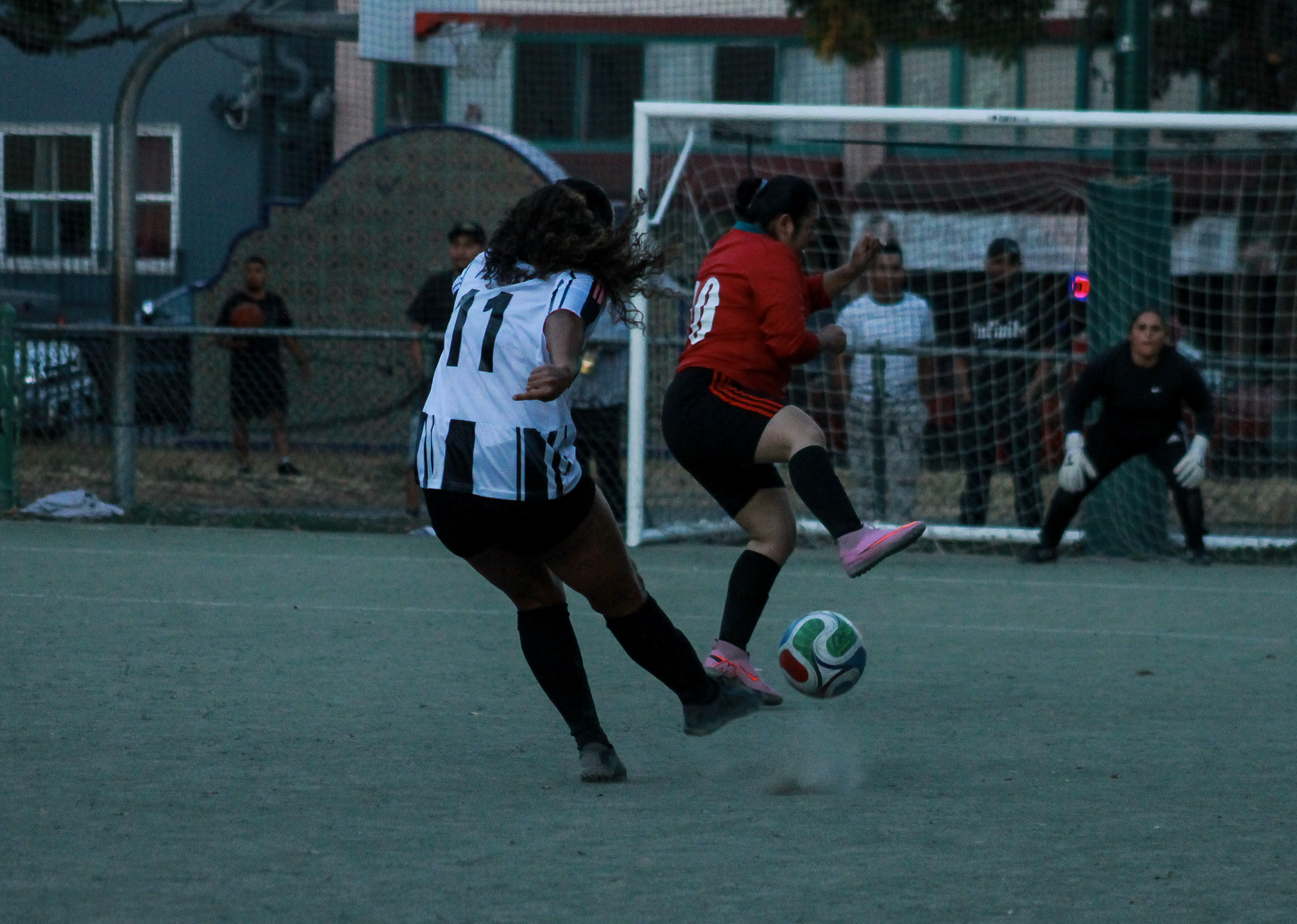 65 IMG 8845