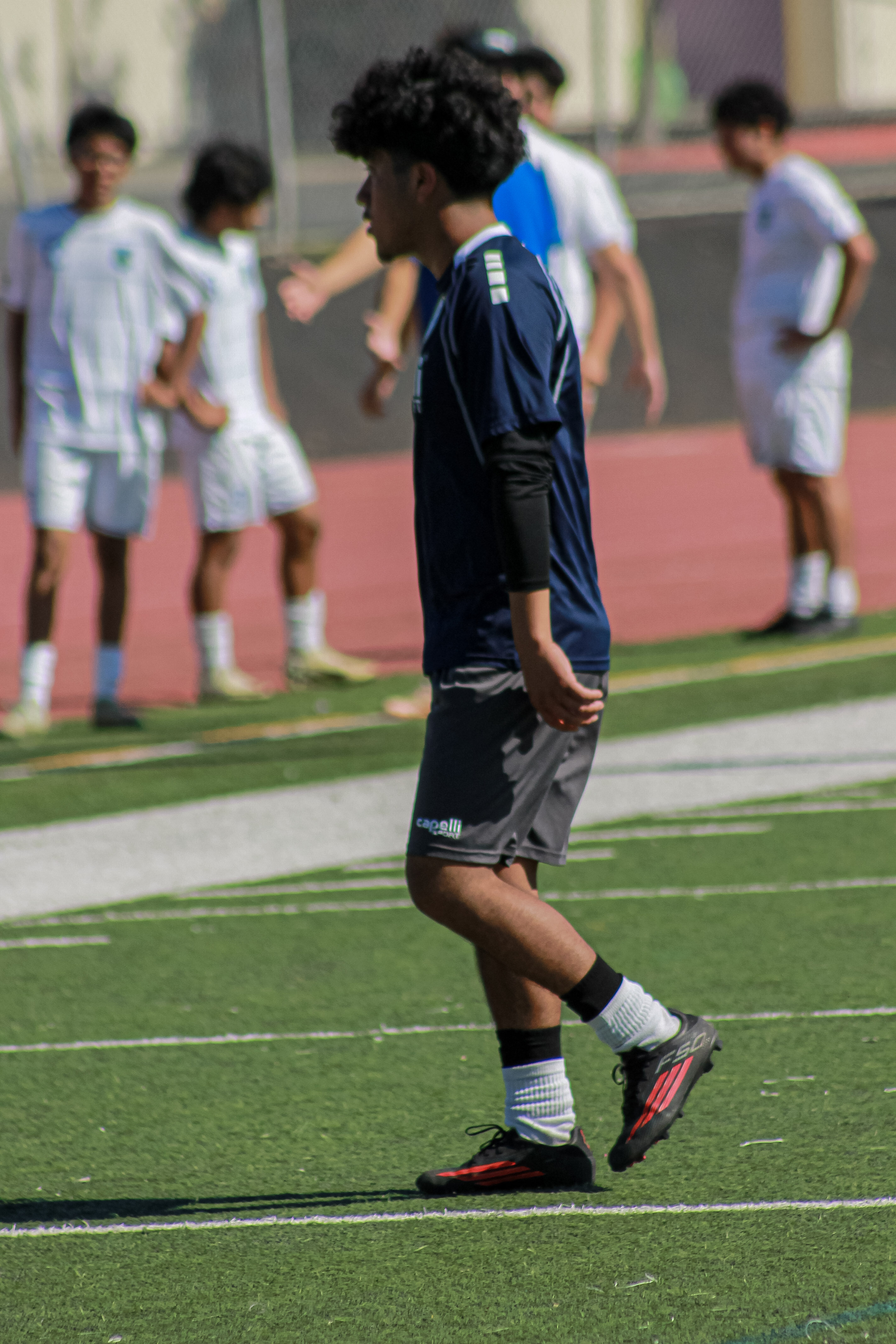 15 IMG 2241
