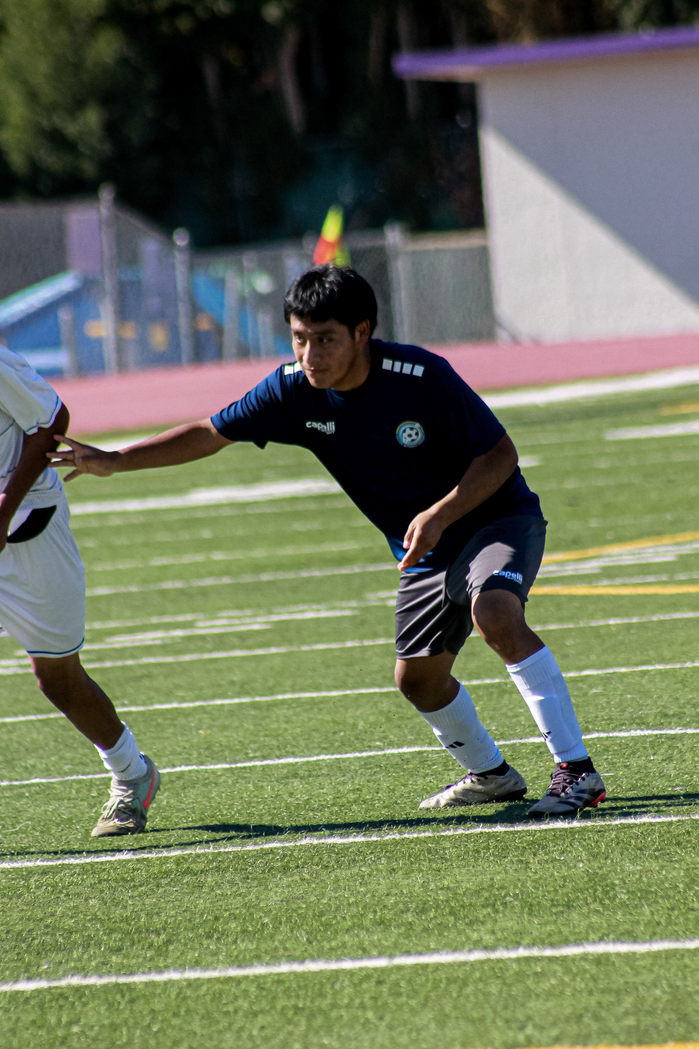 15 IMG 2059
