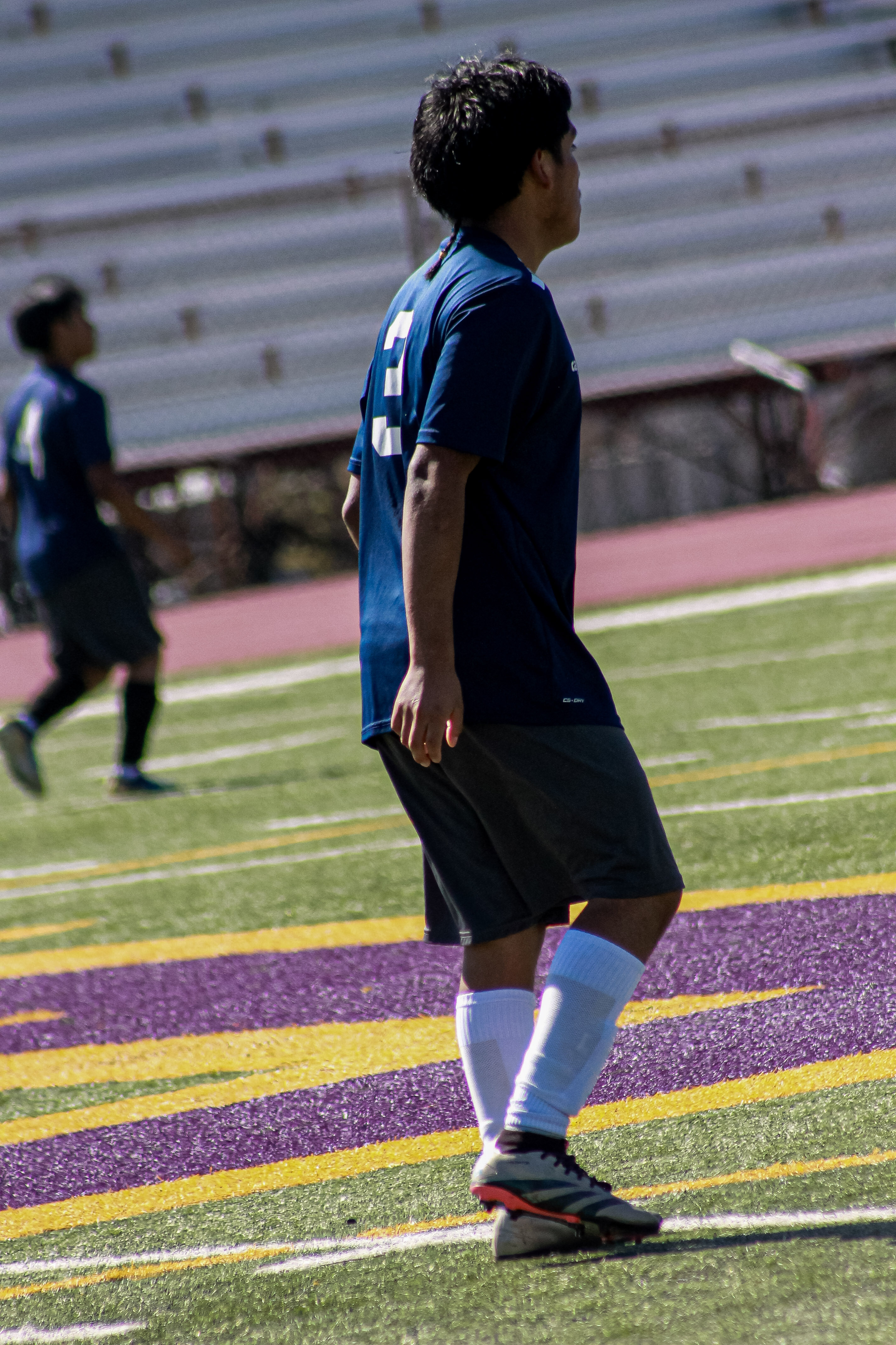 17 IMG 2069
