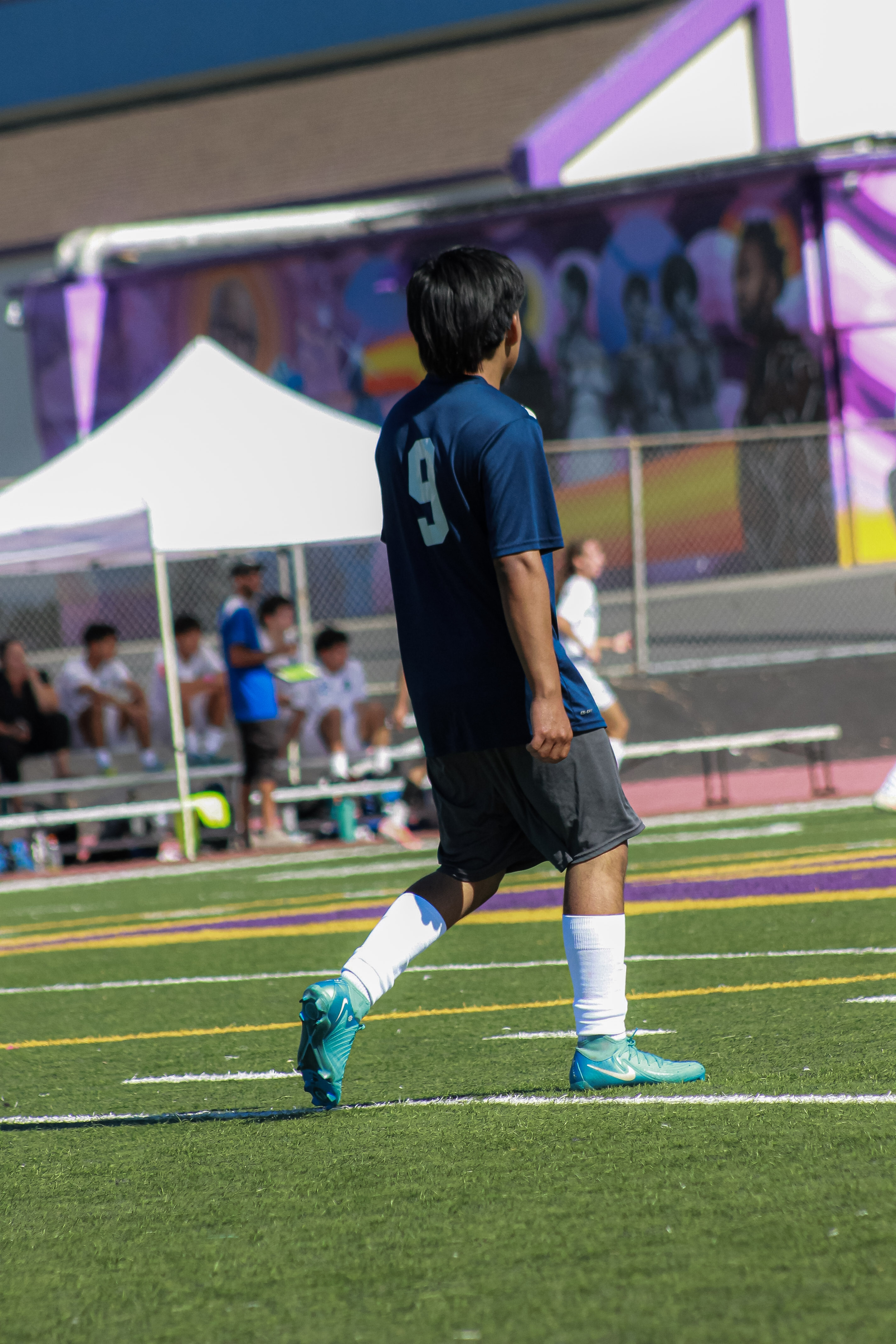 17 IMG 1954